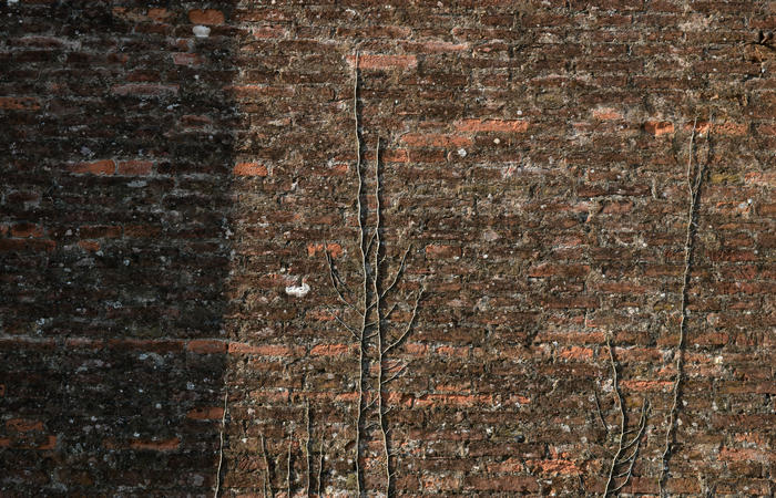 Colli Euganei campagna euganea fiume Bacchiglione, giro cicloturistico Monteortone Monterosso Castello San Martino dela Vaneza Cervarese Santa Croce Praglia