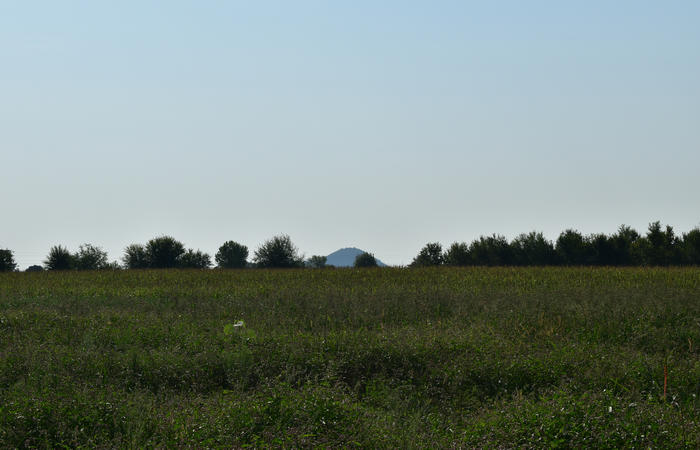 Colli Euganei campagna euganea fiume Bacchiglione, giro cicloturistico Monteortone Monterosso Castello San Martino dela Vaneza Cervarese Santa Croce Praglia