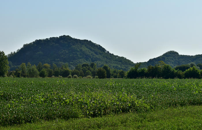 Colli Euganei campagna euganea fiume Bacchiglione, giro cicloturistico Monteortone Monterosso Castello San Martino dela Vaneza Cervarese Santa Croce Praglia