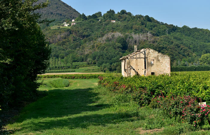 Colli Euganei campagna euganea fiume Bacchiglione, giro cicloturistico Monteortone Monterosso Castello San Martino dela Vaneza Cervarese Santa Croce Praglia