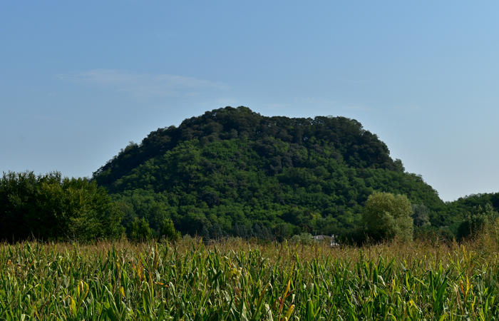 Colli Euganei campagna euganea fiume Bacchiglione, giro cicloturistico Monteortone Monterosso Castello San Martino dela Vaneza Cervarese Santa Croce Praglia