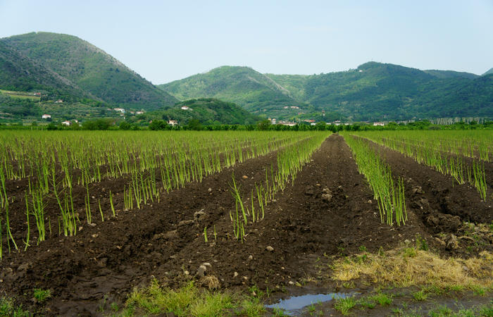 Colli Euganei, giro cicloturistico settore sud-est, Battaglia Terme, Arquà Petrarca, Monselice, Castello del Catajo
