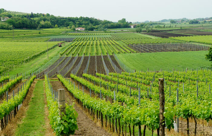 Colli Euganei, giro cicloturistico settore sud-est, Battaglia Terme, Arquà Petrarca, Monselice, Castello del Catajo