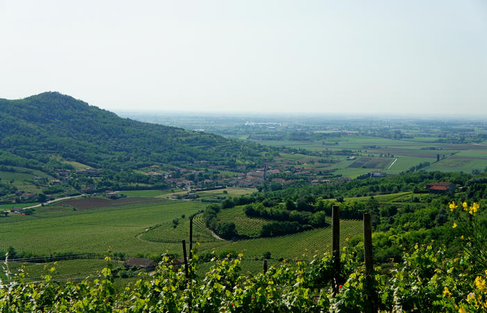 Colli Euganei, giro cicloturistico settore sud, Baone Este Calaone monte Cecilia Ca'Barbaro