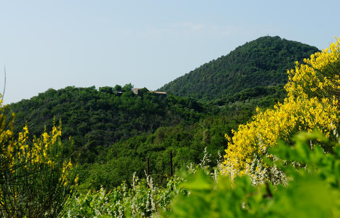 Colli Euganei, giro cicloturistico settore sud, Baone Este Calaone monte Cecilia Ca'Barbaro