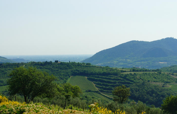 Colli Euganei, giro cicloturistico settore sud, Baone Este Calaone monte Cecilia Ca'Barbaro