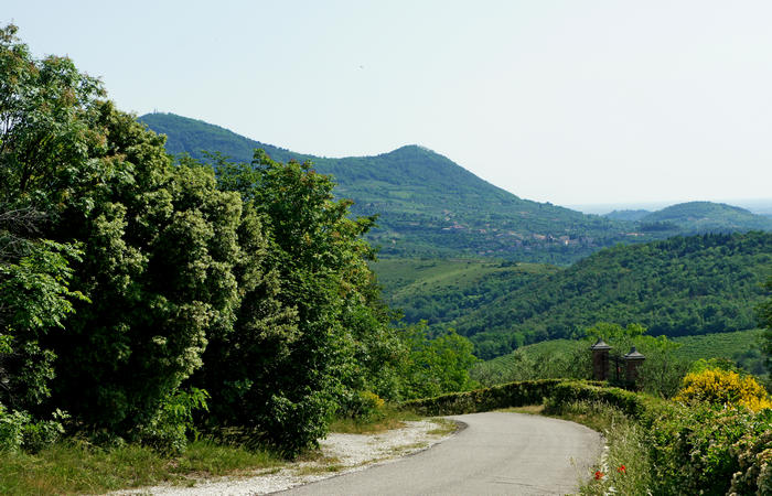 Colli Euganei, giro cicloturistico settore sud, Baone Este Calaone monte Cecilia Ca'Barbaro