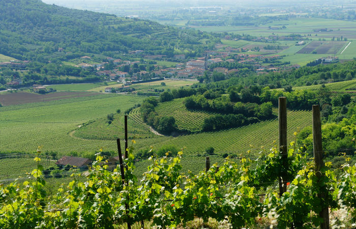 Colli Euganei, giro cicloturistico settore sud, Baone Este Calaone monte Cecilia Ca'Barbaro