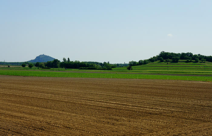 Colli Euganei, giro cicloturistico settore sud, Baone Este Calaone monte Cecilia Ca'Barbaro