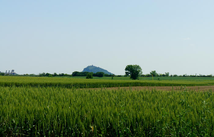 Colli Euganei, giro cicloturistico settore sud, Baone Este Calaone monte Cecilia Ca'Barbaro