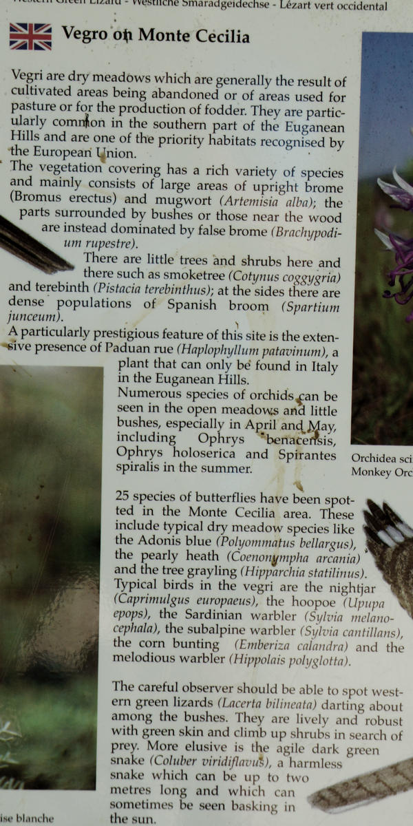 i Vegri del monte Cecilia a Baone nei Colli Euganei