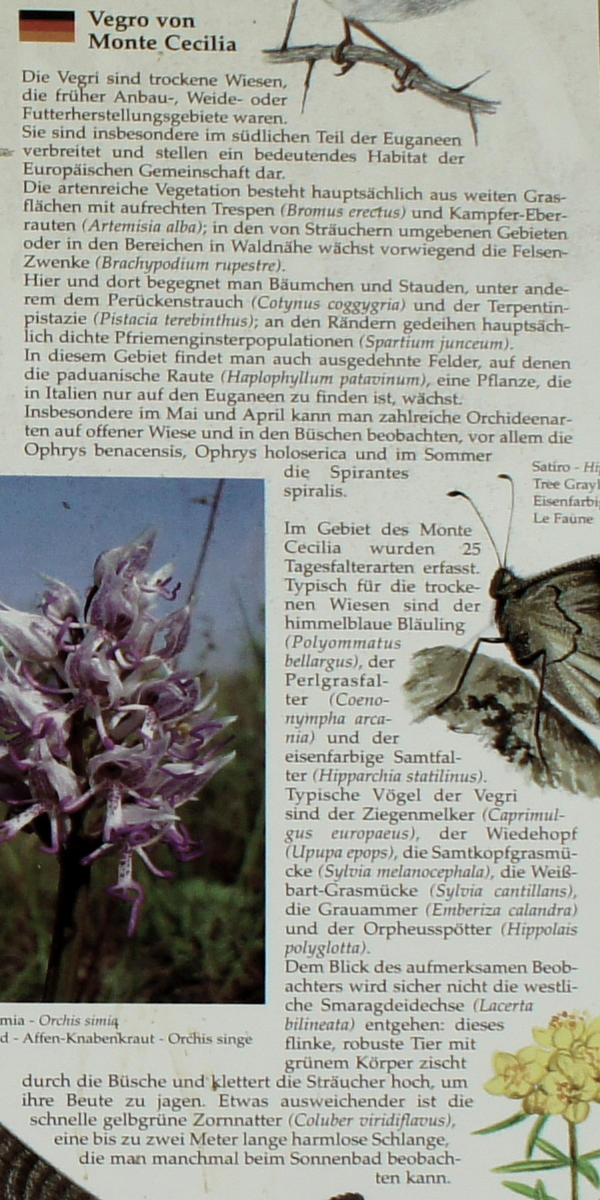 i Vegri del monte Cecilia a Baone nei Colli Euganei