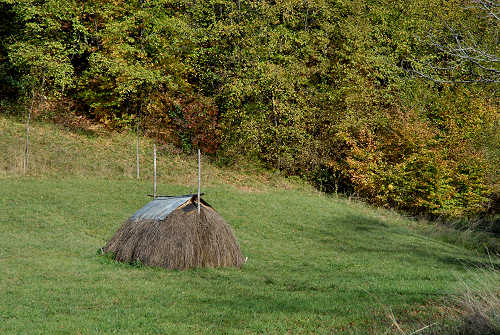 Fastro di Arsié e Fastro Bassanese Cismon del Grappa - Valsugana Canal di Brenta
