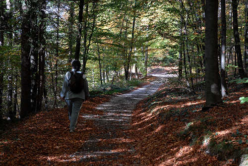 Fastro di Arsié e Fastro Bassanese Cismon del Grappa - Valsugana Canal di Brenta
