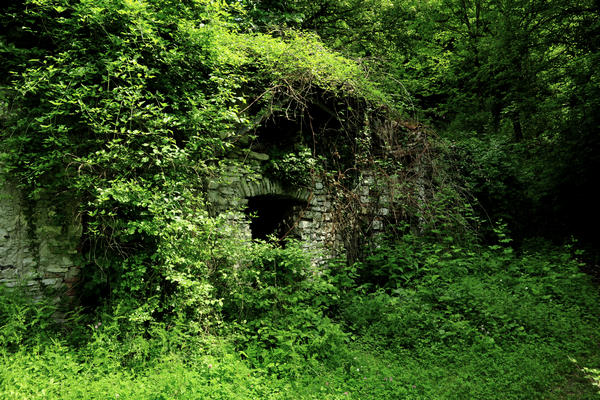 escursione naturalistica giro del Lago di Corlo, Rocca di Arsie