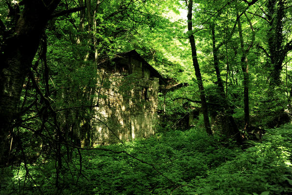 escursione naturalistica giro del Lago di Corlo, Rocca di Arsie
