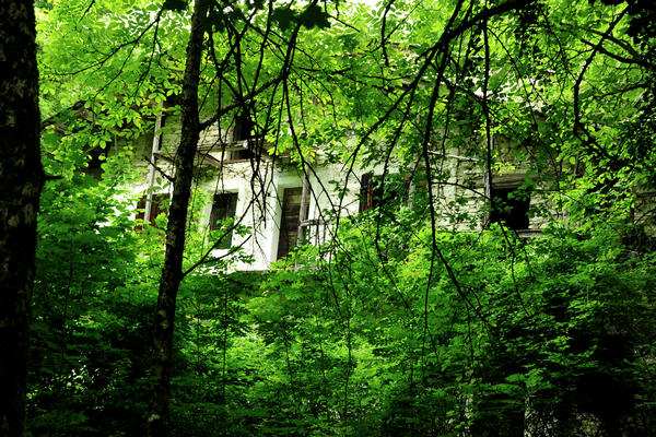 escursione naturalistica giro del Lago di Corlo, Rocca di Arsie