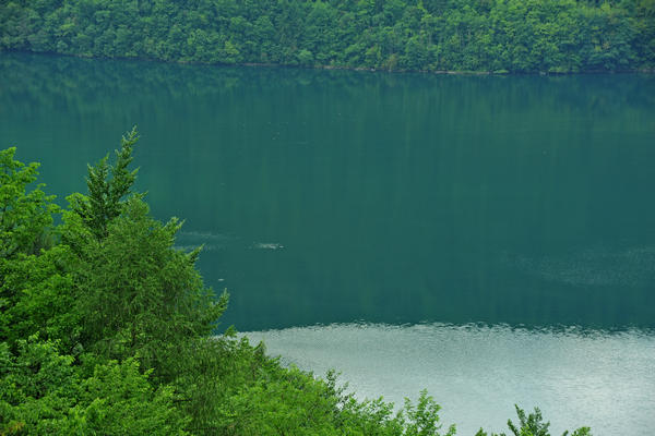 escursione naturalistica giro del Lago di Corlo, Rocca di Arsie