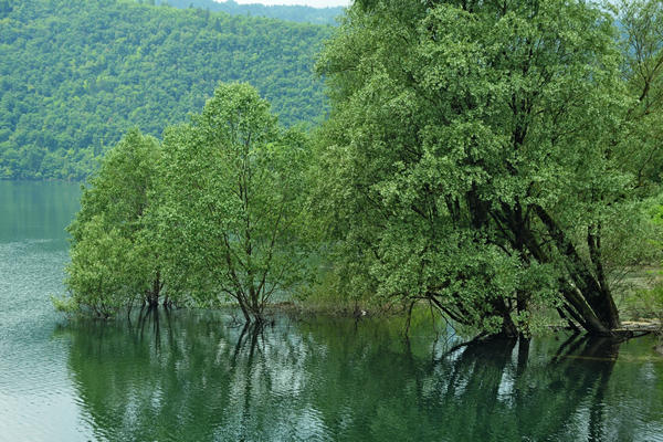 escursione naturalistica giro del Lago di Corlo, Rocca di Arsie