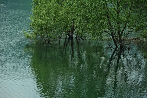 escursione naturalistica giro del Lago di Corlo, Rocca di Arsie