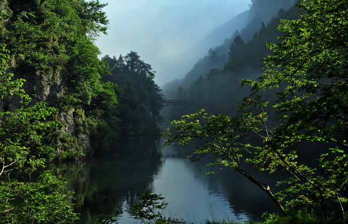 escursione naturalistica giro del Lago di Corlo - Rocca, Carazzagno, Berti, Corlo, diga, Tanisoi