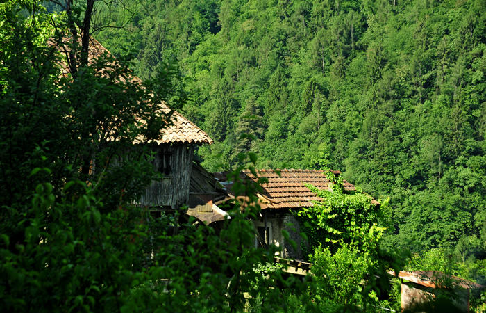 escursione naturalistica giro del Lago di Corlo - Rocca, Carazzagno, Berti, Corlo, diga, Tanisoi