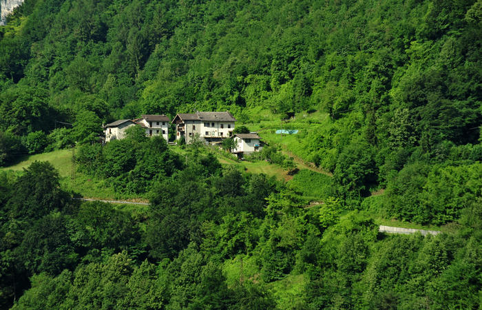 escursione naturalistica giro del Lago di Corlo - Rocca, Carazzagno, Berti, Corlo, diga, Tanisoi