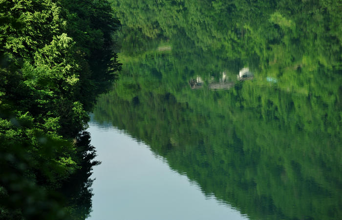 escursione naturalistica giro del Lago di Corlo - Rocca, Carazzagno, Berti, Corlo, diga, Tanisoi