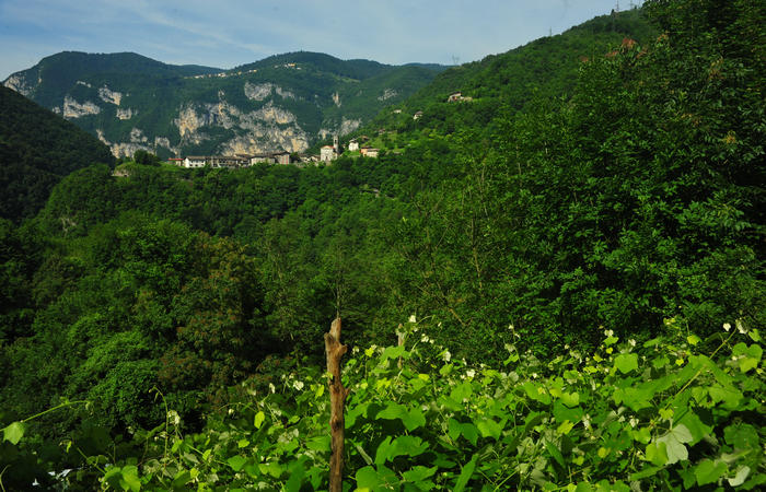escursione naturalistica giro del Lago di Corlo - Rocca, Carazzagno, Berti, Corlo, diga, Tanisoi