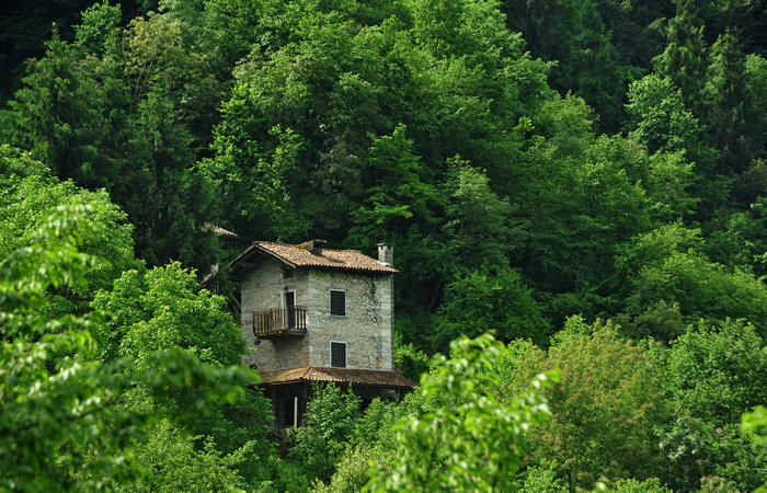 escursione naturalistica giro del Lago di Corlo - Rocca, Carazzagno, Berti, Corlo, diga, Tanisoi