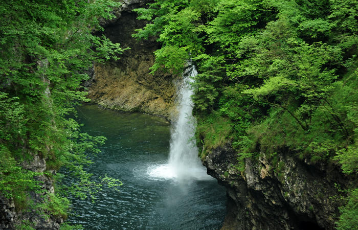 escursione naturalistica giro del Lago di Corlo - Rocca, Carazzagno, Berti, Corlo, diga, Tanisoi
