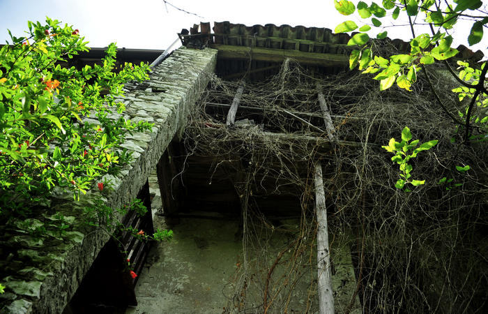 escursione naturalistica giro del Lago di Corlo - Rocca, Carazzagno, Berti, Corlo, diga, Tanisoi