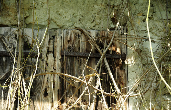 escursione naturalistica giro del Lago di Corlo - Rocca, Carazzagno, Berti, Corlo, diga, Tanisoi