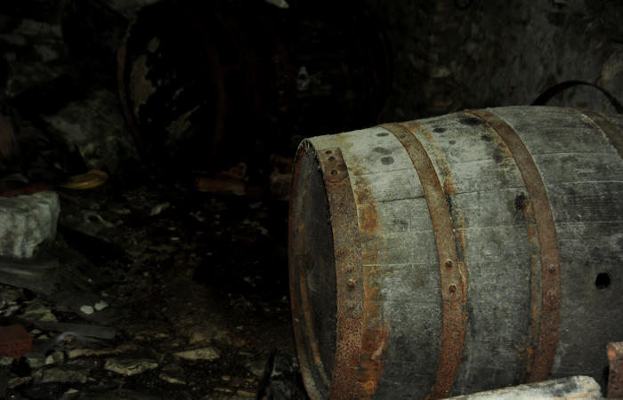 escursione naturalistica giro del Lago di Corlo - Rocca, Carazzagno, Berti, Corlo, diga, Tanisoi