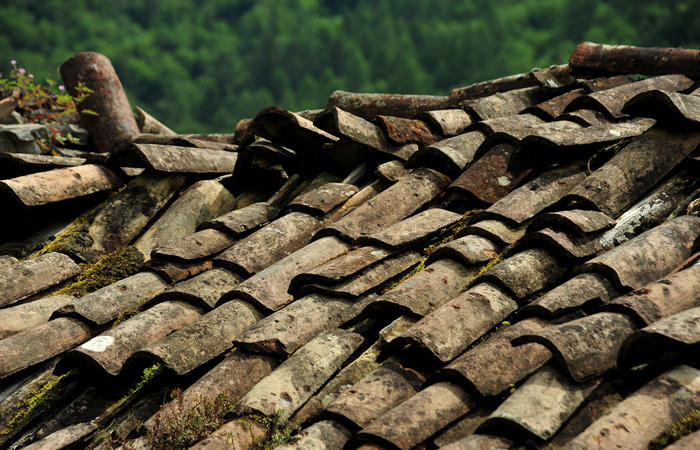 escursione naturalistica giro del Lago di Corlo - Rocca, Carazzagno, Berti, Corlo, diga, Tanisoi