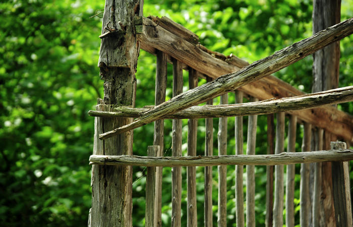 escursione naturalistica giro del Lago di Corlo - Rocca, Carazzagno, Berti, Corlo, diga, Tanisoi