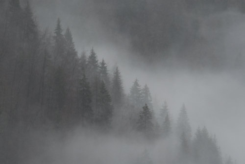 Lago del Corlo alla Rocca di Arsié, foto invernale