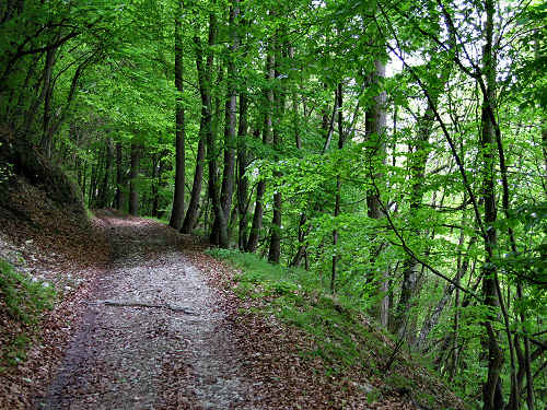 passeggiata lago di Corlo Zanetti Berti Corlo Rocca