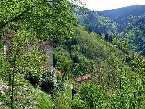 passeggiata lago di Corlo Zanetti Berti Corlo Rocca