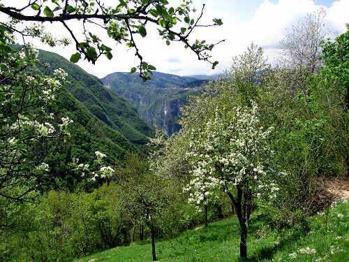 passeggiata lago di Corlo Zanetti Berti Corlo Rocca