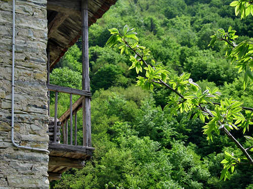 passeggiata lago di Corlo Zanetti Berti Corlo Rocca
