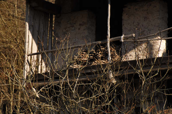 chiesetta di Sant'Agapito, Cesiomaggiore