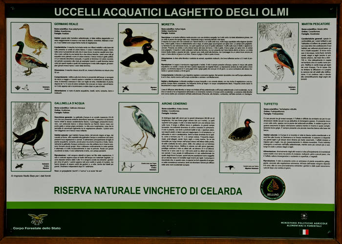 Vincheto di Cellarda