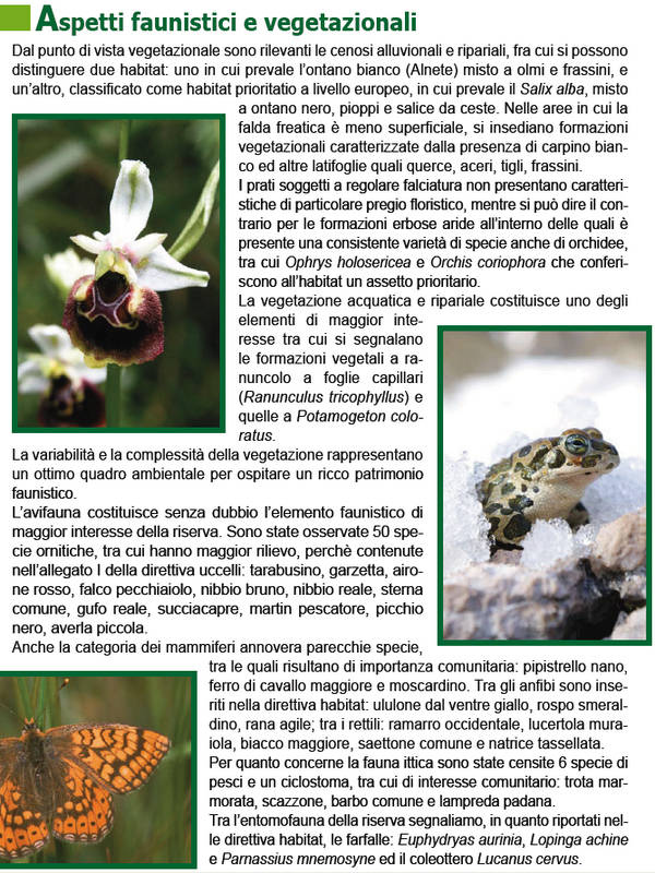 Vincheto di Cellarda