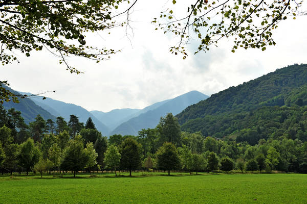 riserva naturale Vincheto di Celarda a Feltre, lungo il fiume Piave