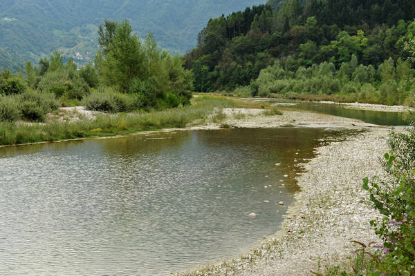 riserva naturale Vincheto di Celarda a Feltre, lungo il fiume Piave