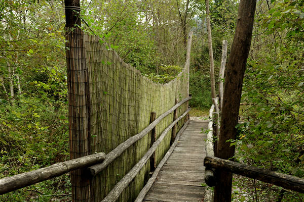 riserva naturale Vincheto di Celarda a Feltre, lungo il fiume Piave