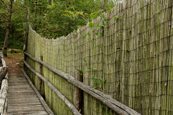 riserva naturale Vincheto di Celarda a Feltre, lungo il fiume Piave