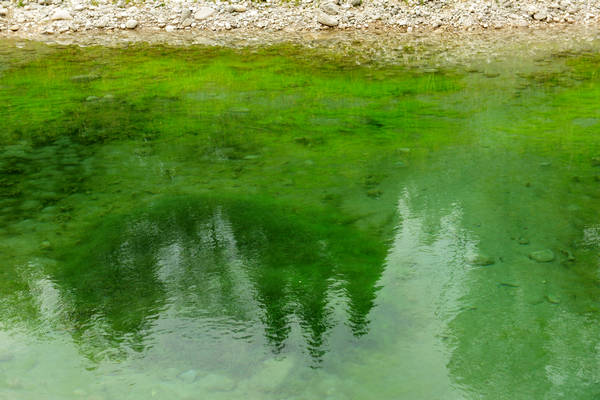 riserva naturale Vincheto di Celarda a Feltre, lungo il fiume Piave