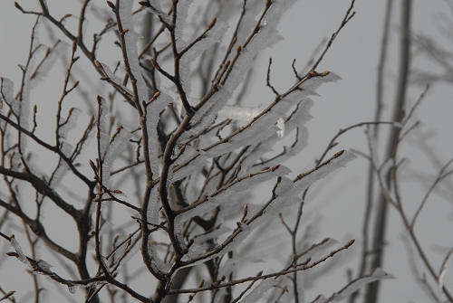 Inverno al Santuario Vittore e Corona